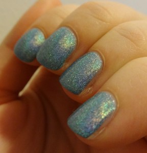 beautifully disney wish come true